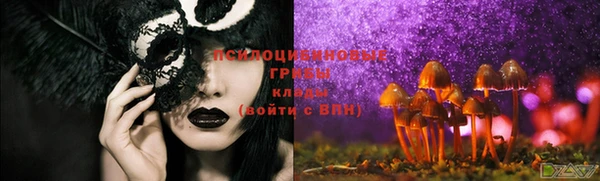 герыч Абаза