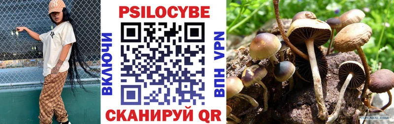 Псилоцибиновые грибы прущие грибы  Черноголовка 